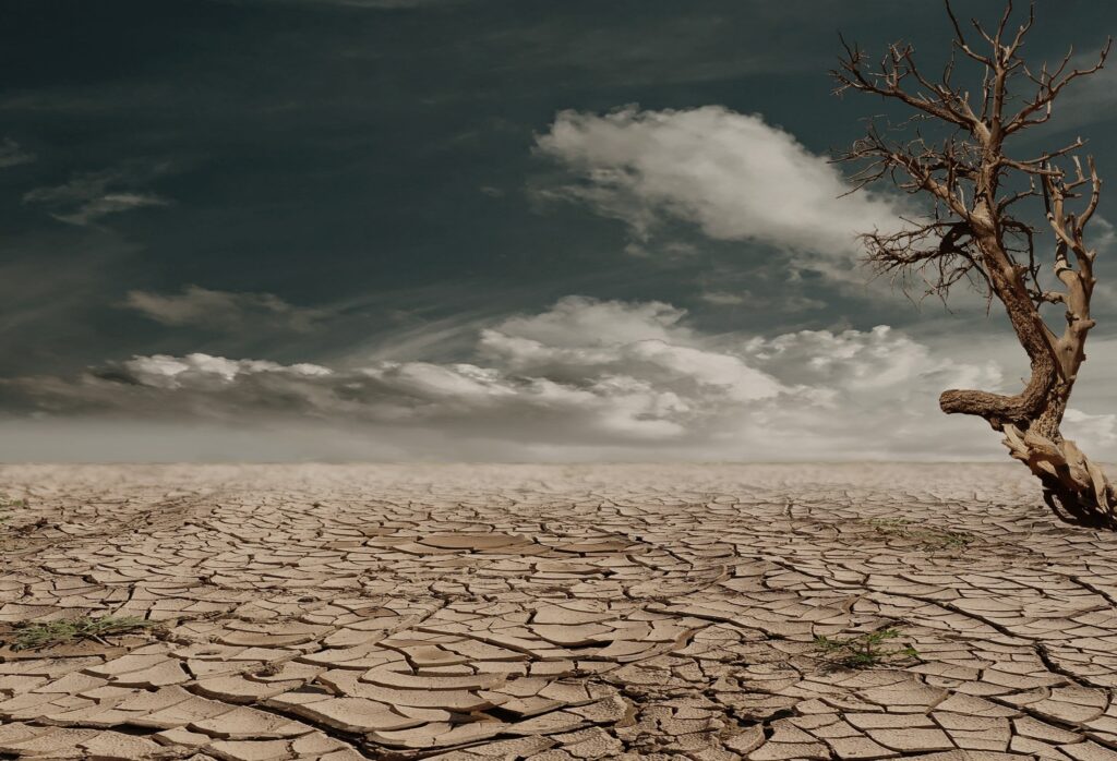 Drought increasing worldwide